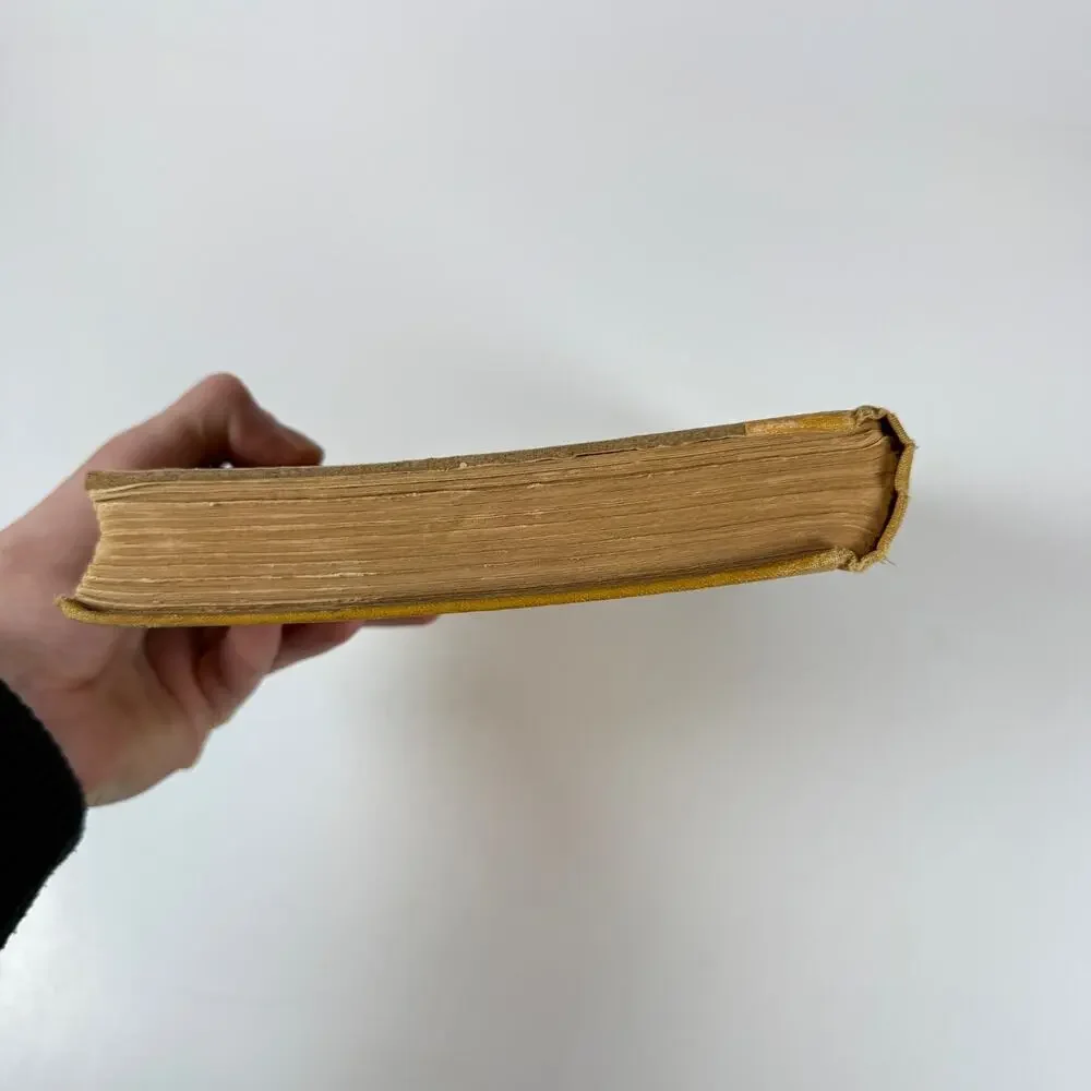 Little Robinson by Charles Donald Fox 1925 Antique book